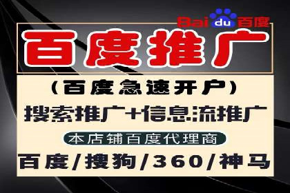 某企业SEM推广全流程解析——从策划到执行的成功案例